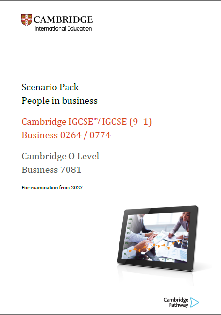 Understanding business activity: Scenario Pack
