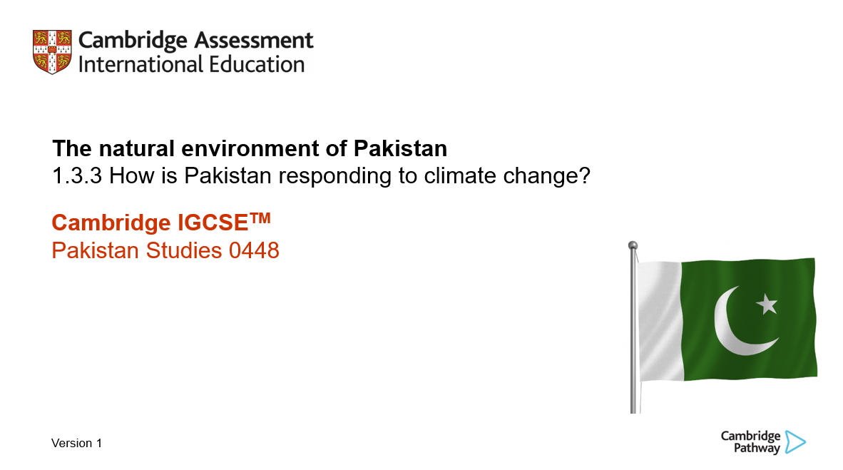 Lesson presentation 1.3.1